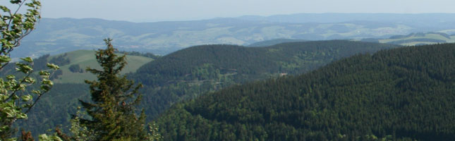Schwarzwald